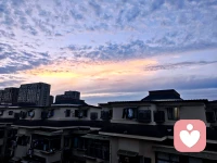 灵魂若失去共振，信使亦无法穿梭配图