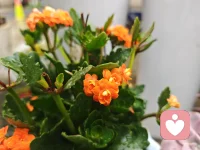 在平淡的日子里，去喂养自己。吃好了，心情也就好大一半啦。配图