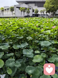 相信自己！一定可以！