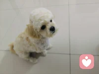 每个人心里都藏着难言的委屈与纠结
不必勉强自己事事周全
静下心倾诉梳理
解开心中郁结
往后日子便能轻松自在
真诚相伴 静待有缘人诉说心声#感恩遇见❤️❤️❤️配图