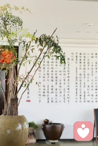 人与人最好的关系
莫过于频率相同
不用追赶不用迁就
你的欲言又止他了然于心
你的碎碎念念他耐心倾听
平淡相守 自在舒心 便是难得的缘分#情绪树洞配图