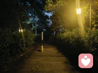 谁都有情绪低落
思路混乱的时候
这并不可怕
累了就停下来说说
烦了就敞开心扉聊聊
不评判 不敷衍 用心读懂您的难处
陪您找回状态与好心情
愿您永远眼里有光
心中有爱 生活满是温暖与希望#情绪树洞配图