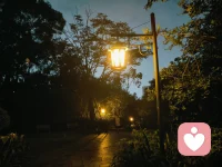 谁都有情绪低落
思路混乱的时候
这并不可怕
累了就停下来说说
烦了就敞开心扉聊聊
不评判 不敷衍 用心读懂您的难处
陪您找回状态与好心情
愿您永远眼里有光
心中有爱 生活满是温暖与希望#情绪树洞配图