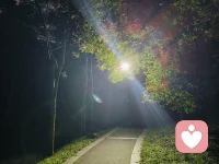 谁都有情绪低落
思路混乱的时候
这并不可怕
累了就停下来说说
烦了就敞开心扉聊聊
不评判 不敷衍 用心读懂您的难处
陪您找回状态与好心情
愿您永远眼里有光
心中有爱 生活满是温暖与希望#情绪树洞配图