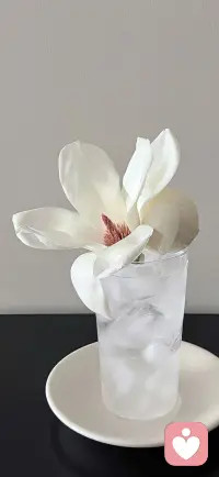 如果你知道爱情是一场徒劳；
一个人的用心，天真，努力，终究虚幻一场。
你还会去爱，去恨，去奔赴吗？
或者，做一个 用理性武装自己，用超脱保护自己，
然后再也无法被任何东西真正打动的空心人。
你是用清醒的燃烧对抗冷漠，
还是用注定无果的行动对抗存在的虚无。
也许，每个人内心，都是清醒与纠结的。
只是，有人勇敢的选择了自己的方向。配图