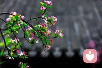 原谅我像个疯子一样缠着你，原谅我死皮赖脸的找你，原谅我的出现给你带来困扰，若不是爱你，谁又会拼了命的往你世界里挤配图