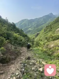 其实真正压垮你的，从来不是大事。是那些说不出口的委屈，夜里翻来覆去的内耗，还有你一次次迁就别人、委屈自己的瞬间。配图