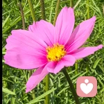 慧🎀的头像