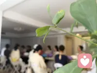 守护全民身心安康，传承国医智慧，彰显健康中国时代价值，疗愈身心，滋养生命，实现文化自信，民族自信。配图