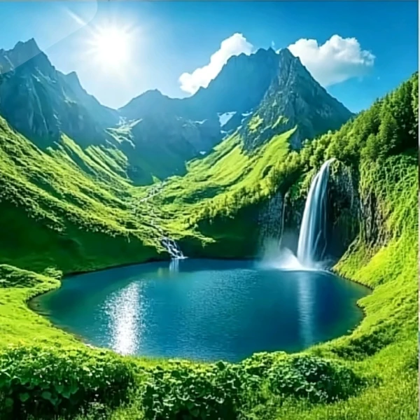 心灵花园