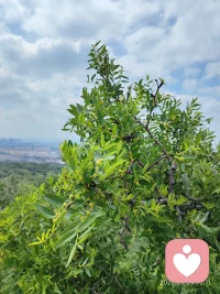 天道酬【愿】，地道酬勤，人道酬善，商道酬诚，医道酬精，家道酬和。