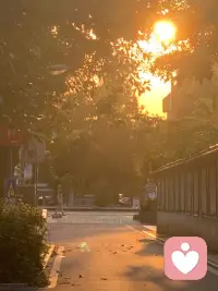 向人间借朝暮
我以悲喜为筹
~配图