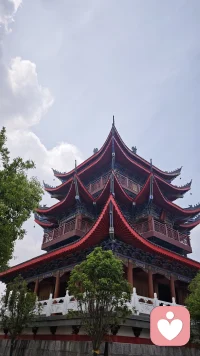 挂在枝头已经成熟的枇杷
花儿已开满枝丫的枣树
枝丫上已经成型的石榴
都在书写着属于它们的时间故事
今天的你 又有着哪些精彩时刻配图