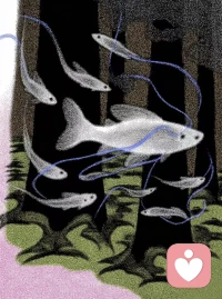 夜深了，有些话还是说不出口。
不是不想说，只是不知道对谁说，也不知从何说起。

其实，心里的那些「过不去」，并不是你不够坚强。有时候，我们只是需要一个安全的角落，能卸下所有防备，把真实的自己放出来透透气。配图