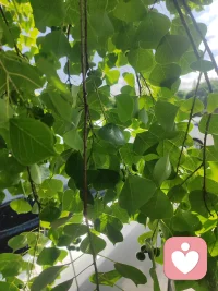 这两毛钱的天，聊得真值。
不知道从什么时候开始，
我们很少再发大段大段的文字了。
但那种“在吗？聊两毛钱的”默契，
好像比一万句客套话都珍贵。
不用组织语言，不用怕冷场。
你说楼下的小猫胖了，
我说今天的地铁挤到变形。
在这个什么都讲究“高效”的时代，
愿意陪你浪费时间说废话的人，
才是真正把你放在心里的人。
因为最贵的不是那两毛钱的话费，
而是那份随时愿意接住你情绪的温柔。配图