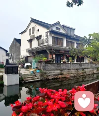 周庄治愈随笔
 
       躲进江南周庄，赴一场温柔治愈之约。
       青石板蜿蜒悠长，流水绕着白墙黛瓦缓缓流淌，摇橹轻摇，荡开一池温婉。晨雾漫染街巷，晚风轻拂灯笼，吴侬软语伴着水声，抚平心底所有浮躁。
       不必追赶时光，只管闲坐河畔，看船来船往，赏烟雨寻常。在这里慢度朝夕，让俗世纷扰随流水远去，寻得内心一份安然清净。
