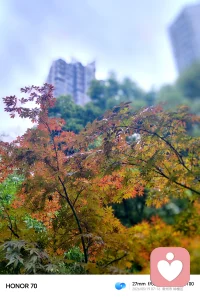 情绪回收
       
       心理学中有个有趣的观点：情绪从不会凭空消失，只会被压抑、堆积，最终以另一种方式消耗我们。所谓情绪回收，不是强行压抑难过、强迫自己释怀，而是温柔地整理内心的负面情绪，完成自我治愈与能量重置。
       生活中，我们总习惯性地收纳坏情绪：未消解的委屈、没由来的焦虑、人际关系的疲惫、琐事堆积的烦躁。很多人选择视而不见，把情绪藏在心底。可积压的情绪如同堆积的垃圾，久了便会滋生内耗，让人陷入疲惫、敏感、低落的状态，拖垮身心状态。真正的成熟，是学会定期给自己的心灵做一次情绪回收。
       情绪回收的第一步，是接纳。不必抗拒负面情绪，悲伤、愤怒、失落都是正常的心理反应。不必责怪自己矫情，允许情绪发生，坦然接纳当下的状态，便是和解的开始。
       其次是梳理与释放。我们可以试着卸下伪装，通过独处、书写、散步等温柔的方式，将积压的情绪尽数释放。区分无用的内耗与有用的感悟，把无端的纠结、无谓的执念彻底清空，把挫折带来的成长、经历沉淀的清醒妥善留存。
       最后是重置自我。情绪回收的本质，是与生活和解，与自己和解。人生本就是得失相伴，烦恼本是常态，不必让过往的情绪，困住当下的自己。
       定期回收情绪，清空心底的尘埃，方能卸下包袱、轻装前行。心怀澄澈，方能接住生活的温柔与光亮。配图