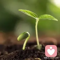 很多人不满足于平庸的现状，却懒于付出行动，而优秀的人，会愿意去尝试做出改变，重新塑造自己，最终活出自己想要的人生。人生不会有太晚的重生，无论在任何时候和任何阶段，只要你愿意重新塑造自己，你的未来都会值得期许！配图