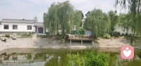 无法诉说的内心困惑，其实是陷入了黑夜，有这些迷茫，找个人说说话，哪怕只是为了诉说心情也会慢慢好起来！