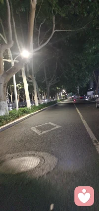 各有各的路