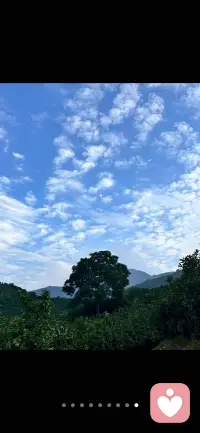 这水面很可以👍配图