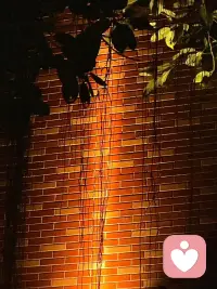倒计时只剩2天，如何是好？配图
