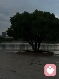 Beautiful配图