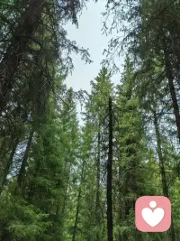 很不错👍，遇到了几个美人。配图