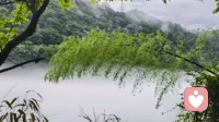 人到中年才明白，婚姻里最伤人、最让人失望的，从来不是吵架\n \n 