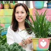 别人阳台养花，我阳台种菜，看着绿油油的一片，就觉得踏实又安心。
 
种了十几年菜，也练就了一身“倾听”的本事，不管是生活的一地鸡毛，还是心里解不开的结，都可以来和我聊聊。我懂你的委屈，也愿意陪你一起想办法。
 
#种菜日常 #知心姐姐 #情绪陪伴