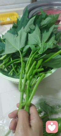 很多朋友问我，情绪乱的时候，怎么快速让自己静下来？
分享一个超好用的小方法：专心做一顿饭。
摘菜、翻炒、闻着烟火气，心会慢慢回到当下。
你心情不好时，最常用来解压的小事是什么？评论区告诉我，也可以来找我聊聊。