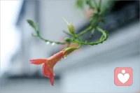 不用活成别人期待的样子。你的人生不是表演，自己喜欢就够了。配图