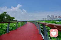 如果有下辈子，我想早点遇见你，我们堂堂正正，名正言顺的相守在一起。配图