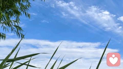 别让你的情绪过载