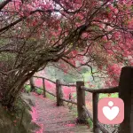 雨中微风🦌的头像