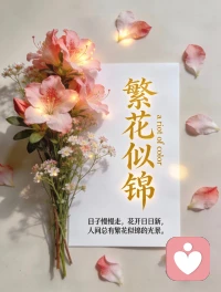 🍎晨语

生活不能等待别人来安排，要自己去争取和奋斗

偶然的幸运，皆是日积月累的沉淀与把握。
低谷不躺平、顺境不松懈，当下全力以赴，方能收获所想。

握紧人生方向盘，方能驶向心之所向⭐配图