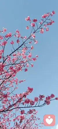 别怕偶尔的低落，就像天气有阴晴，情绪也有起伏。允许它来，也相信它会走。你不是“有问题”，你只是累了，需要一点温柔的休息。抱抱那个努力的自己吧。
感到难过或迷茫时，别急着责备自己。情绪没有对错，它只是在告诉你内心的需求。给自己一点空间，像对待最好的朋友那样，温柔地问问自己：“嘿，你还好吗？需要什么？”你值得被这样对待。配图
