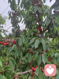 我们总忙着逼自己坚强，硬扛所有情绪，以为脆弱是不好的。
其实难过、疲惫、焦虑、迷茫都再正常不过，不必苛责自己，不必假装完美。
你的情绪值得被看见，你的心事值得被倾听，慢慢来，允许一切发生，好好拥抱此刻不完美的自己，你已经很努力啦❤️配图