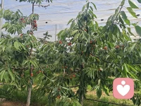 万事都有缓缓释怀的余地