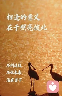 人应该从喜欢里，获得力量；
而不是耗尽所有的力量，去喜欢！配图