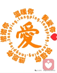 像巷子里的猫，自由却没有归宿配图