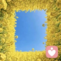 向上的生命力，
比皮囊更有杀伤力！配图