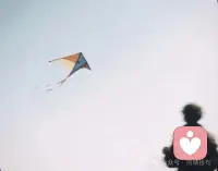 人
不可能每一步都正确，
与其重新，不如从心。配图