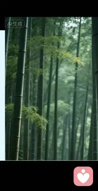 不要的东西就扔了
无能为力的事情就算了
没有缘分的人就散了配图