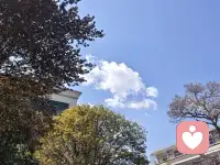 学会面对自己的情感和困惑，是成长的重要一步。我们的倾听师将陪伴您走过这段旅程，帮助您重新获得力量和勇气。配图