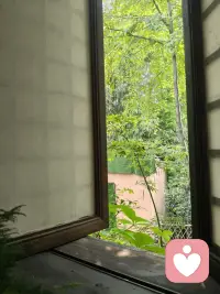 有时候生活需要停下来，喝喝茶，发发呆，欣赏那些欣然而至的小美好。配图