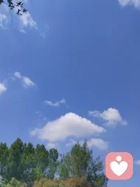 看着窗外的天空，微风吹过树梢的感觉，心里很舒服…