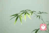 接纳自己的光芒与缺憾，既是一种勇气，也是对自己最深的成全。配图