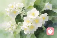 如果发现身边的人都不爱自己，不论事实如何，那么请力所能及的爱好自己，因为别人爱不爱你根本不重要，适当的力所能及的发疯，想干什么就干什么，我们没有以此伤害他人，因此我们没有错，别人的眼光没有那么重要，我们自己的幸福更重要。每个人都是独特的光，接纳自己，宠溺自己，用自己的微光照亮自己，温暖自己。每个人都值得一个专注当下的时光，和值得期许的未来。如果有一天，那个值得的人走进你的生命，你便有从容的底气去互相照亮。