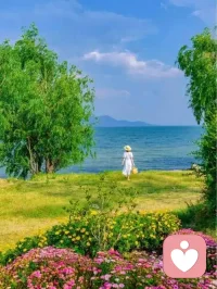 其实我们可以给自己一个假期，一天也好，半天也好，两小时也好，一小时也好，在湖边，或者公园里，或者在自家的阳台，或屋顶，让自己感受大自然的温暖，自然的阳光，自然的风，自然的鸟语花香，自然的心的回归，疗愈和放松。配图